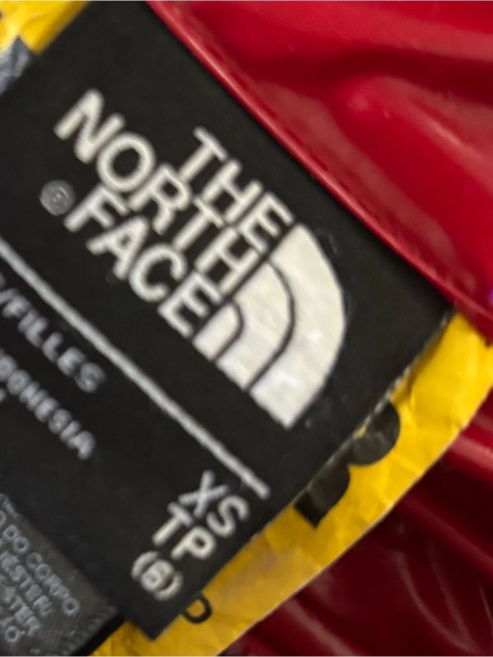 The North Face coat.  Girls. Red reversible